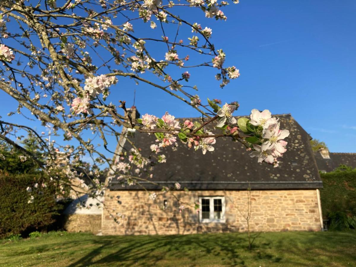Appartamento Le Clos De Kermadec